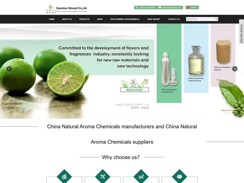 英文外贸网站设计制作